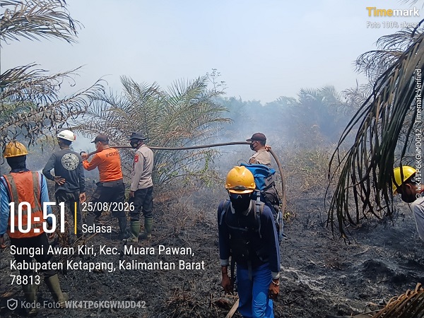 Polres Ketapang Bersama TNI dan Manggala Agni Padamkan Karhutla di Sungai Awan Kiri