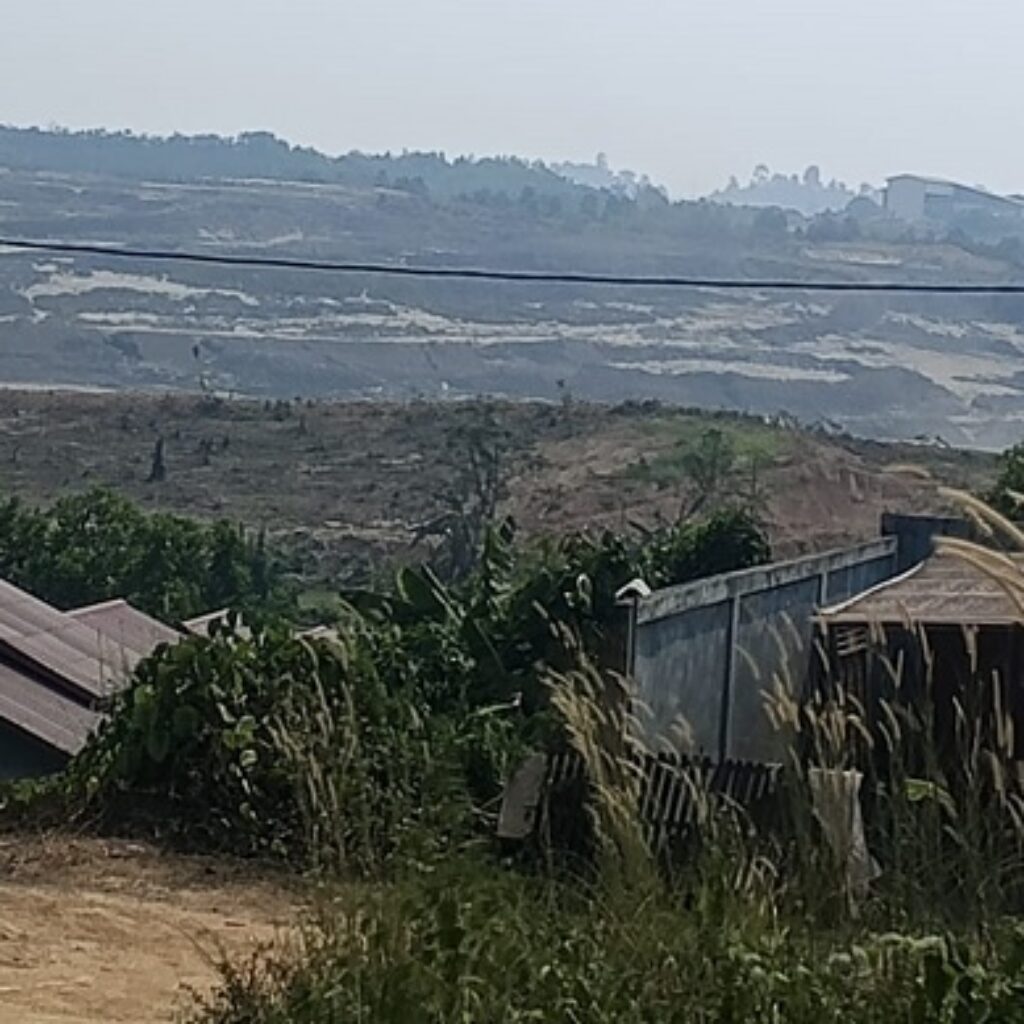 Aktivitas PT Kaltim Diamond Coal di Dekat Permukiman Berau Disorot, Warga Keluhkan Debu