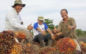 PTPN IV PalmCo Perkuat Kemitraan Petani untuk Jaga Pasokan CPO dan Dukung Program B50