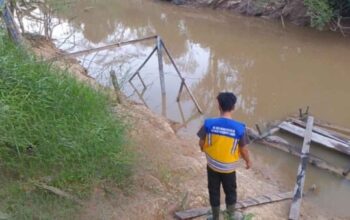 Kondisi Sungai Mahakam di Kalimantan Timur saat debit air menurun akibat musim kemarau.