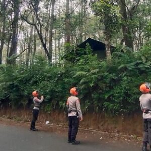 Tim SAR Sat Brimob Polda Jabar, Laksanakan Patroli Siaga Tanggap Bencana Alam Cek Pohon Rawan Tumbang