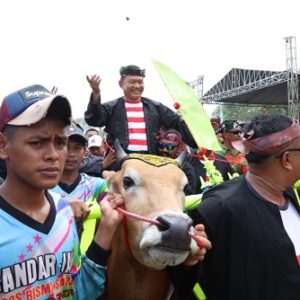 Kasad Buka dan Saksikan Lomba Karapan Sapi Piala Kasad Tahun 2023