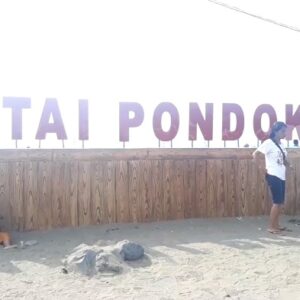 CV. Satu Putri sudah ber-PKS dengan Perum Perhutani, Saifulloh. SH : Pak Sekda klien kami sudah dirugikan
