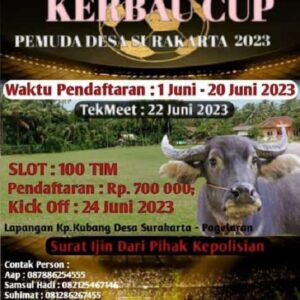 Mantap.! Dua Ekor Kerbau Jadi hadiah Utama di Open Tournament Sepak Bola di Desa Surakarta Pandeglang