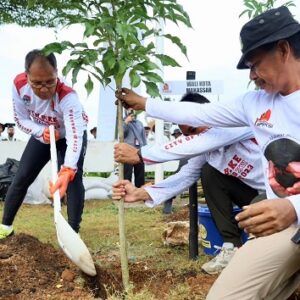 Danny Pomanto-Bima Arya dan Walikota se-Indonesia Tanam Pohon di Hutan Kota CPI