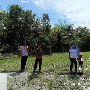 Bupati Pakpak Bhara tugaskan Plt. Kepala Dinas Pertanian lihat kondisi areal terdampak meluapnya sungai Sibintoha