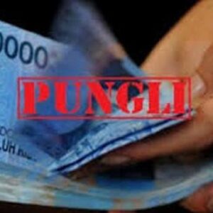 Dugaan pungli 10% oleh TPM dalam Program P3-TGAI, Koordinator TPM Pandeglang akan tindak tegas pelaku