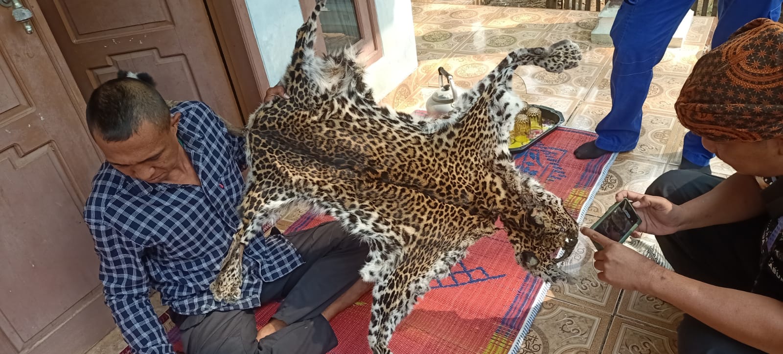 Seekor macan tutul mati kena sabetan golok sang Pencari Lebah - Mitrapol