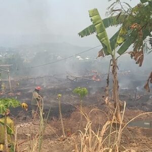 1 hektar lebih lahan pengasinan milik warga hangus dilalap Si Jago Merah