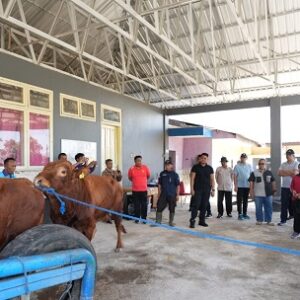 Kunjungan ke Pucak Maros, Pj Gubernur Sulsel Dorong Inseminasi Buatan Tingkatkan Populasi Ternak