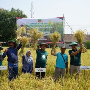 Bupati Arief minta Kedungtuban jadi contoh pertanian Padi Organik