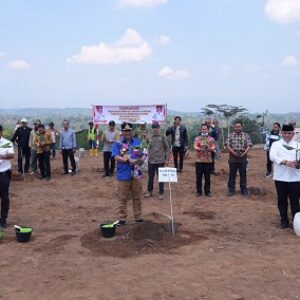 Pj Gubernur Sulsel Tanam Pisang di Lahan 20 Hektare di Sinjai