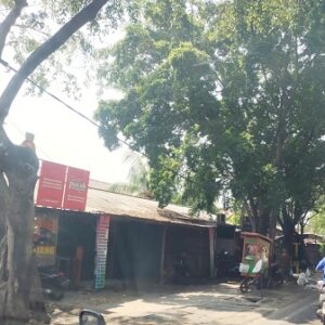 Diduga disewakan oknum tertentu, sejumlah kios berdiri di atas lahan milik pemerintah