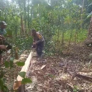 Dengan berseragam, Bripka Sri Eka bantu warga potong kayu