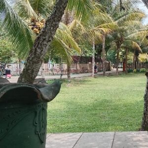 Dengan pesona asri, asiknya bersepeda keliling di Coconut Island