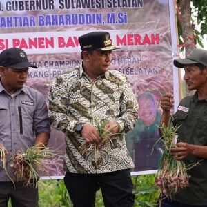 Dampak Elnino Produksi Bawang Merah Berkurang, Pemprov Sulsel Akan Bantu Sumur Bor 
