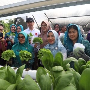Sofha Marwah Bahtiar Panen Sayuran dan Beri Bantuan PMT untuk Anak Stunting dan Ibu Hamil KEK di Luwu Timur