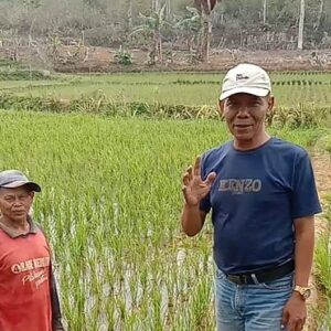 Catatan Jurnalis Sahabat Petani, Bertani Dengan Pupuk Organik Adalah Solusi 