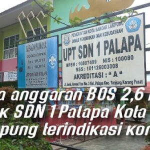Kelola anggaran BOS 2,6 miliar, Kepsek SDN 1 Palapa Bandar Lampung terindikasi korupsi