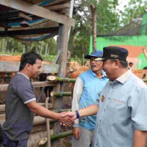Inseminasi Buatan Jadi Harapan Baru Peternak Bulukumba untuk Tingkatkan Produksi