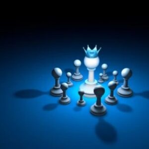 Pemerintah Mesti Bijaksana Bukan Bijaksini