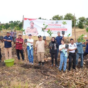 Dorong Skala Industri, Pj Gubernur Bahtiar Galakkan Penanaman 2 Juta Pohon Nangka Madu di Sulsel