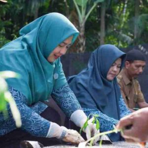 Pj Ketua TP PKK Aceh Selatan Tanam Cabai Serentak di Gampong Silolo