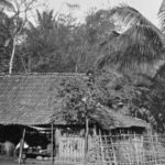 Menelusuri Jejak Sejarah Kampung Kepa Duri: Dari Hutan Lebat Menjadi Kawasan Maju di Jakarta Barat