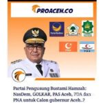 DPP PNA Protes Pencantuman Logo Partai dalam Flyer Bustami Hamzah