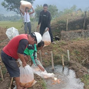 Kembangkan Usaha Perikan Darat, Formasi Kembali Tabur 10.000 Benih Ikan di Hutagurgur I