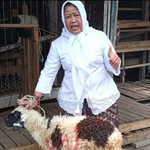 Nazar Prabowo jadi Presiden, Pemimpin Redaksi Sudut Pandang sembelih Kambing