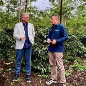 PalmCo Sukses Bawa Kopi Arabika Jawa Mendunia, Produksi dan Ekspor Melonjak