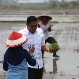 Wamentan Sudaryono Ungkap Pentingnya Cetak Sawah 3 Juta Hektar di Indonesia