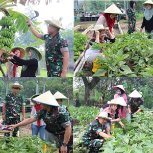 Dukung Ketahanan Pangan, Lanud Husein Sastranegara Panen Sayuran Bersama Warga Bojong Koneng