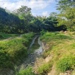 Kementerian PU Mulai Rehabilitasi Daerah Irigasi Cibaliung, Tingkatkan Produktivitas Pertanian di Pandeglang Banten