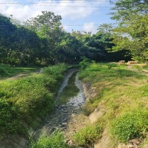 Kementerian PU Mulai Rehabilitasi Daerah Irigasi Cibaliung, Tingkatkan Produktivitas Pertanian di Pandeglang Banten