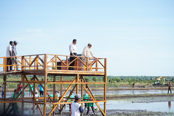 Mentan Amran Dampingi Presiden Prabowo Kunjungi Lahan Pertanian di Merauke
