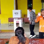 Meski diwarnai hujan gerimis, warga Balige tetap antusias datangi TPS