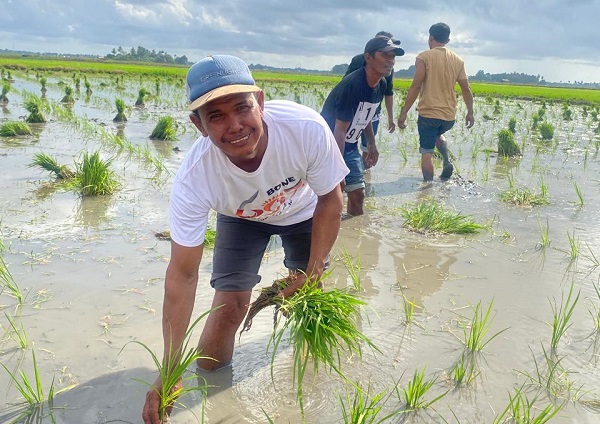 Pangkas 145 Regulasi, Hilmi Rahman  Kebijakan Distribusi Pupuk Langsung ke Petani Dinilai Tepat