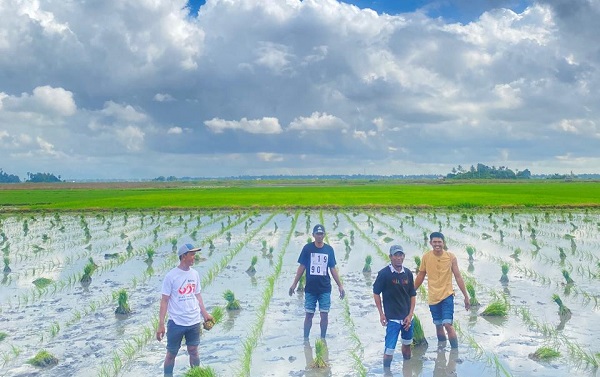 Pangkas 145 Regulasi, Hilmi Rahman Kebijakan Distribusi Pupuk Langsung ke Petani Dinilai Tepat