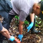 Penemuan Sesosok Kerangka Manusia di Kawasan Hutan Ambar Halim Pintu Pohan Meranti Gegerkan Warga Parsanggarahan