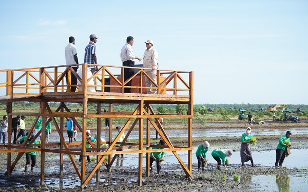 Program Percepatan Swasembada Untuk Kesejahteraan Masyarakat Papua
