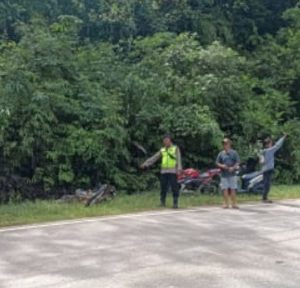 Satu Pengendara Meninggal Dunia, Kecelakaan Melibatkan Truk dan Sepeda Motor di Jalan Trans Kalimantan