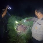 Sekian Lama Menghilang, Warga Manis Mata Ditemukan Tinggal Tulang Belulang