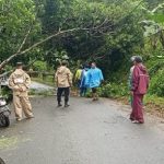 Anggota Polsek Bojong Manik Evakuasi Pohon Tumbang Akibat Hujan dan Angin Kencang