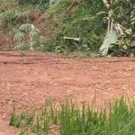 Bencana tanah longsor dan banjir sebabkan puluhan hektar sawah di Kecamatan Cirinten terancam gagal panen