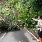 Kapolsek Simpenan Sukabumi ambil langkah cepat tangani bencana tanah longsor