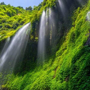 Madakaripura: Air Terjun Abadi dengan Pesona Mistis di Jantung Jawa Timur