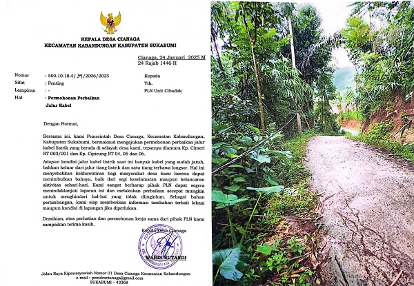 Cegah Bahaya, Warga Minta PLN Segera Perbaiki Kabel Listrik di Desa Cianaga