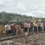 Desa Jayanti Menjelajahi Potensi Menuju Desa Mandiri dan Sejahtera